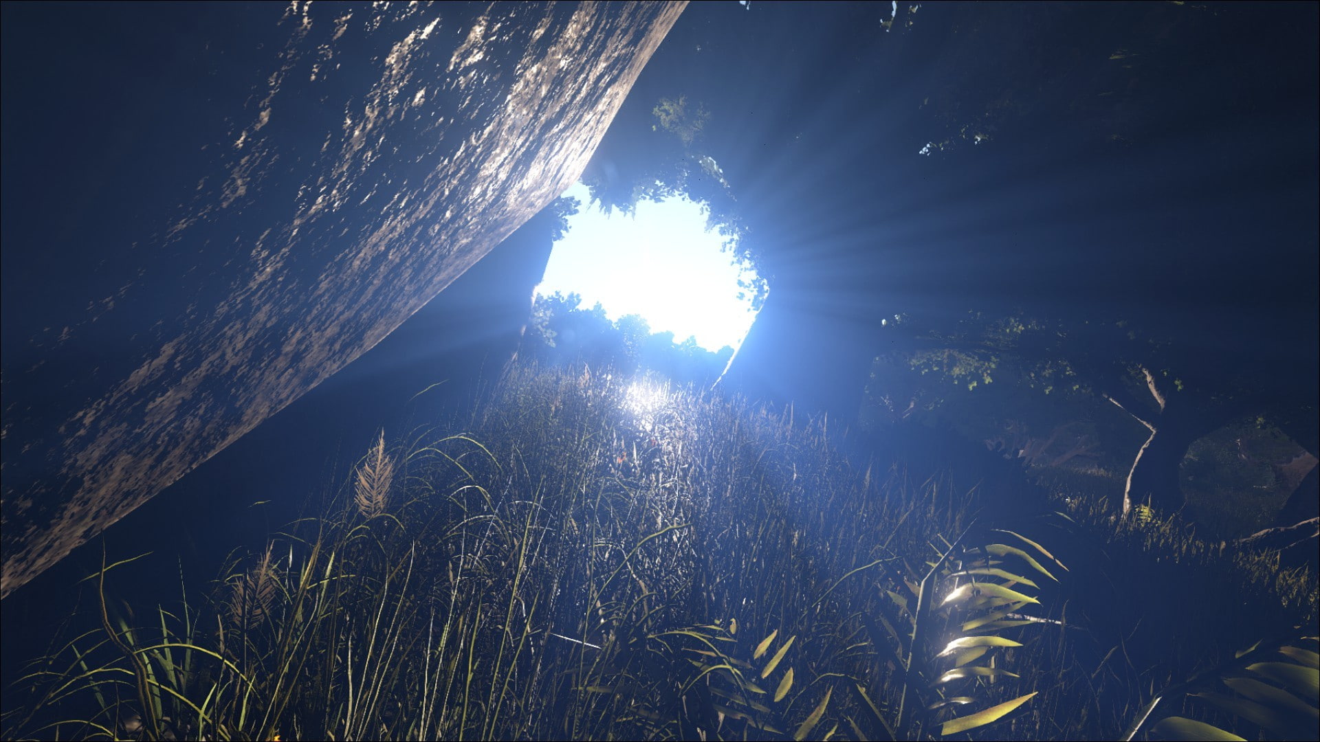 Ark Wallpaper ark-survival-evolved-sunrise-wallpaper-59c0481d417a5d2b1627f8aff0f1e65d.jpg