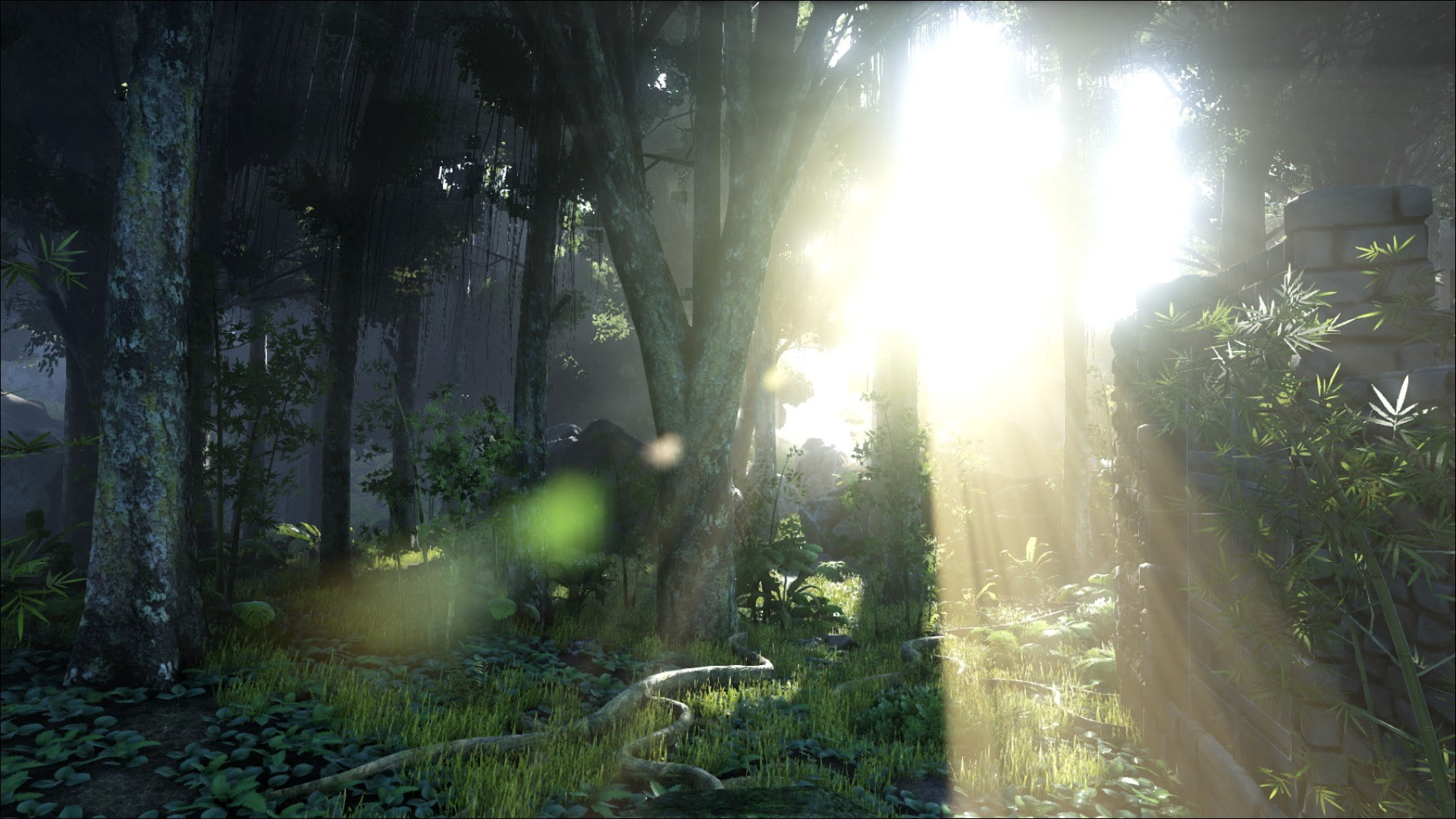 Ark Wallpaper ark-survival-evolved-video-games-the-island-sunlight-jungle-wallpaper-e9d058ade10a5deb0677c81ff0b166cd.jpg